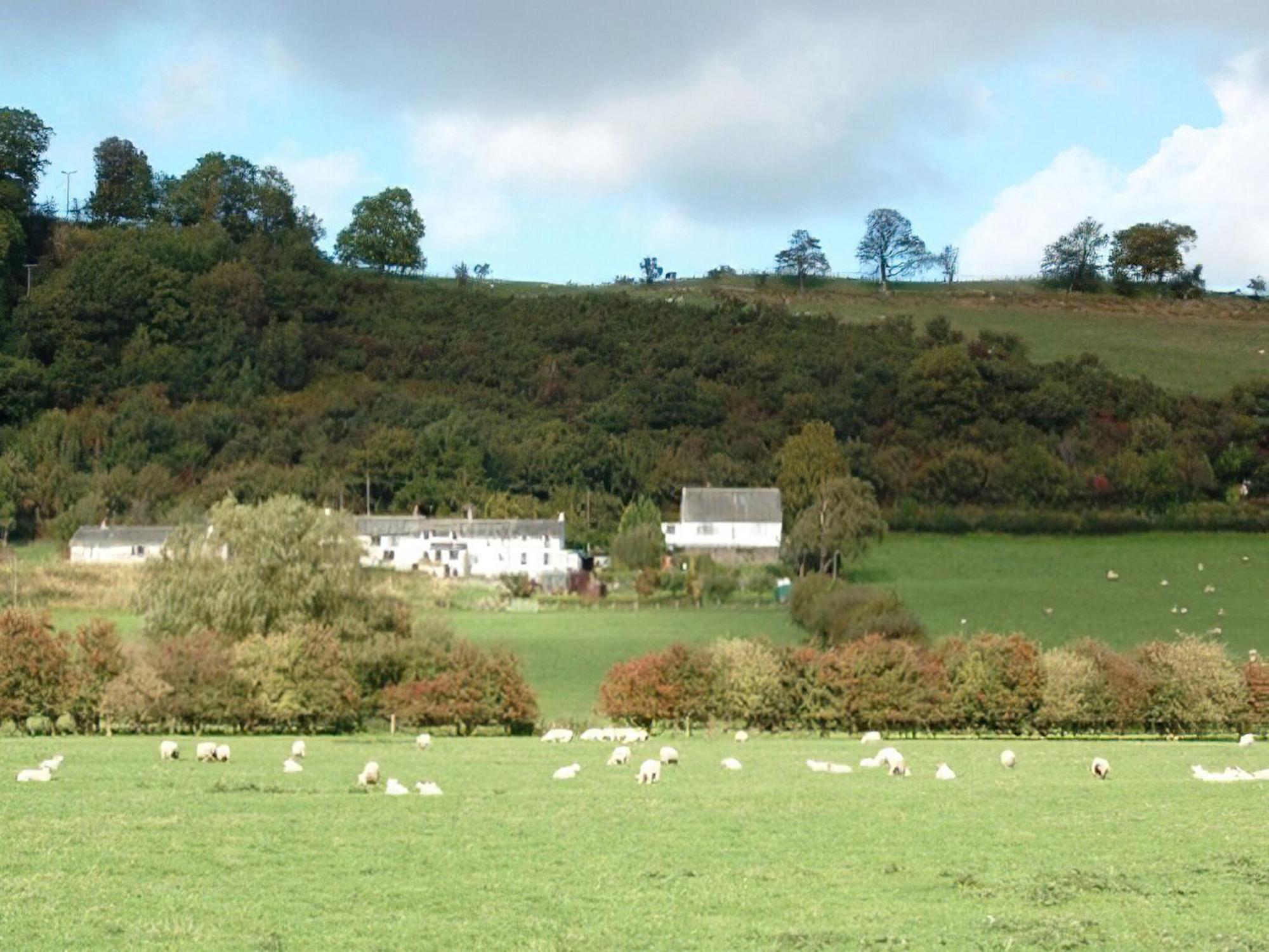 Osprey Cottage Bassenthwaite Extérieur photo