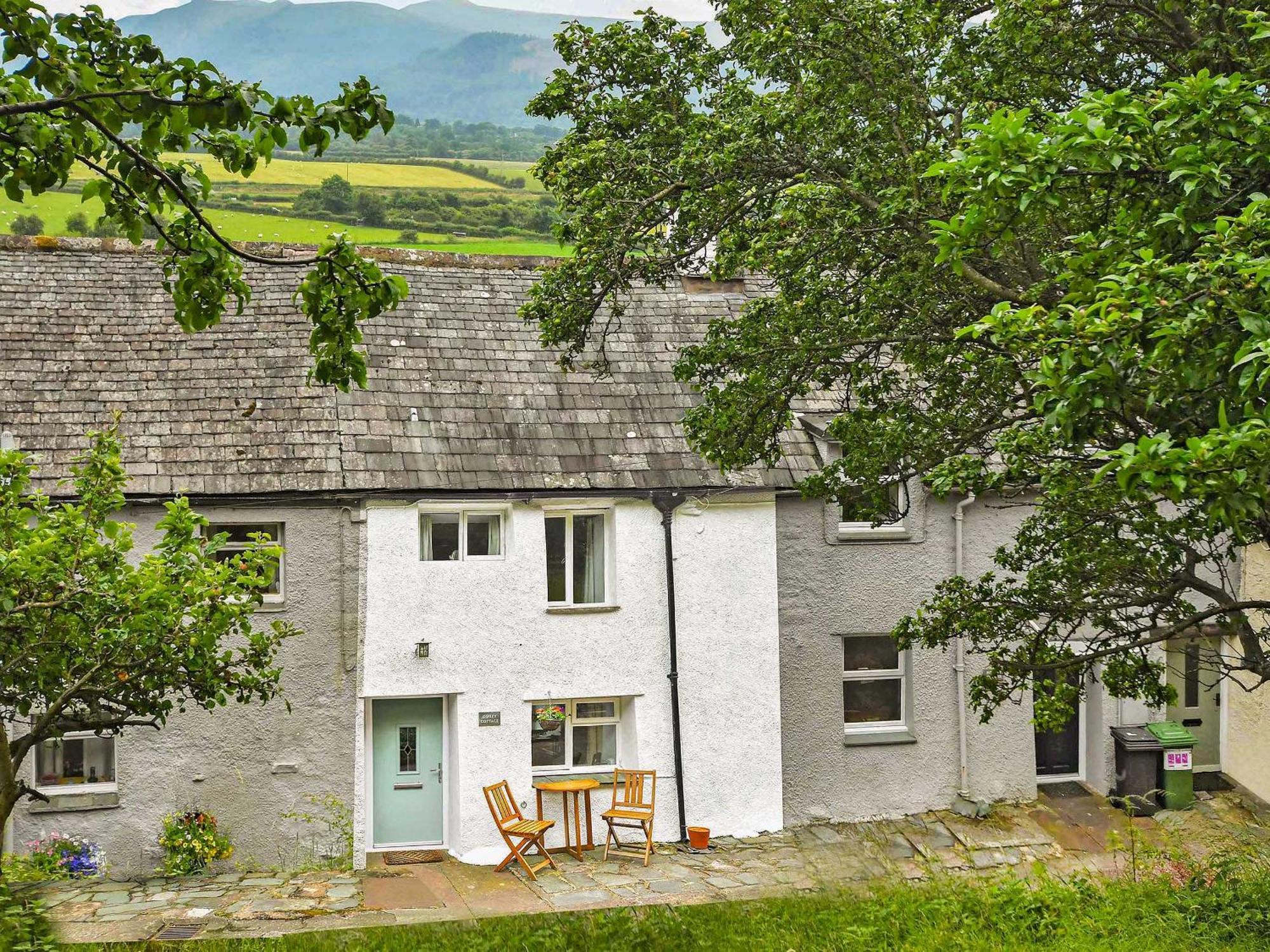 Osprey Cottage Bassenthwaite Extérieur photo